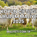 Koyun Çiftliği Kurulum Maliyeti 2025