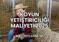 Koyun Yetiştiriciliği Maliyeti 2025