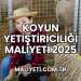 Koyun Yetiştiriciliği Maliyeti 2025