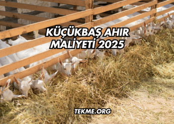 Küçükbaş Ahır Maliyeti 2025