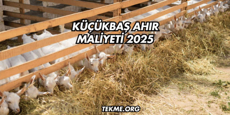 Küçükbaş Ahır Maliyeti 2025