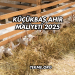 Küçükbaş Ahır Maliyeti 2025