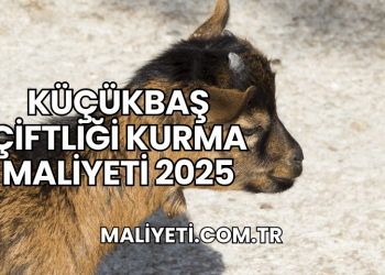 Küçükbaş Çiftliği Kurma Maliyeti 2025