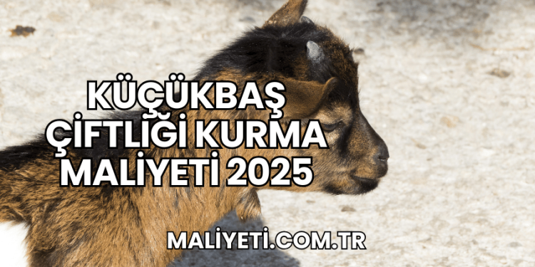 Küçükbaş Çiftliği Kurma Maliyeti 2025