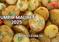 Kumpir maliyeti 2025