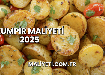 Kumpir maliyeti 2025