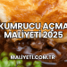 Kumrucu Açma Maliyeti 2025