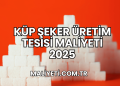 Küp Şeker Üretim Tesisi Maliyeti 2025