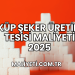 Küp Şeker Üretim Tesisi Maliyeti 2025