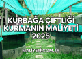 Kurbağa Çiftliği Kurmanın Maliyeti 2025