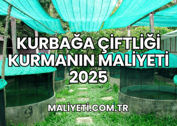 Kurbağa Çiftliği Kurmanın Maliyeti 2025