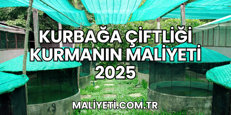 Kurbağa Çiftliği Kurmanın Maliyeti 2025
