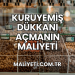 Kuruyemiş Dükkanı Açmanın Maliyeti