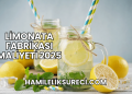 Limonata Fabrikası Maliyeti 2025