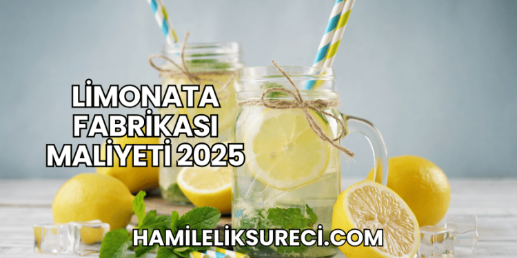 Limonata Fabrikası Maliyeti 2025