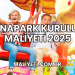 Lunapark Kurulum Maliyeti 2025