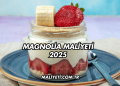 Magnolia Maliyeti 2025