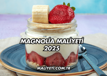 Magnolia Maliyeti 2025