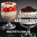 Magnolia Maliyeti 2025
