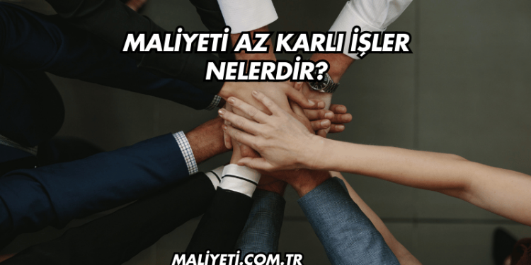 Maliyeti Az Karlı İşler Nelerdir?