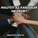 Maliyeti Az Karlı İşler Nelerdir?