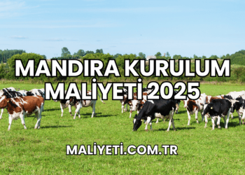 Mandıra Kurulum Maliyeti 2025