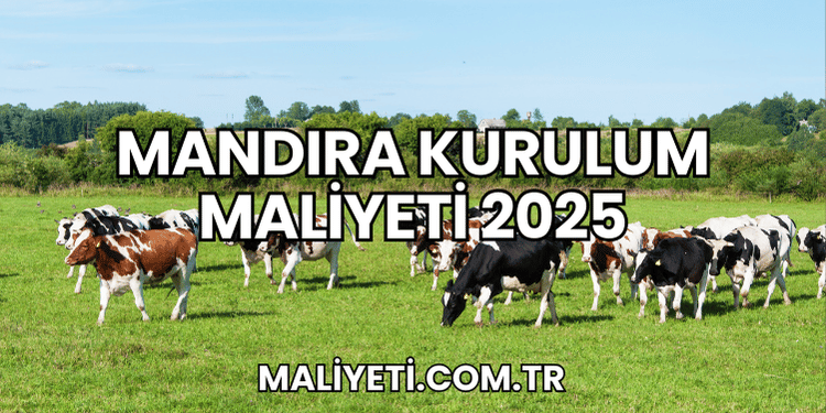 Mandıra Kurulum Maliyeti 2025