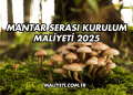 Mantar Serası Kurulum Maliyeti 2025