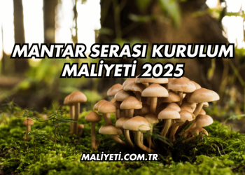 Mantar Serası Kurulum Maliyeti 2025