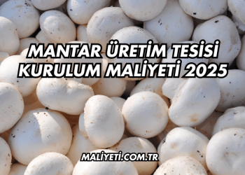 Mantar Üretim Tesisi Kurulum Maliyeti 2025