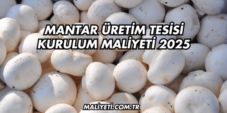 Mantar Üretim Tesisi Kurulum Maliyeti 2025