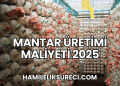 Mantar Üretimi Maliyeti 2025