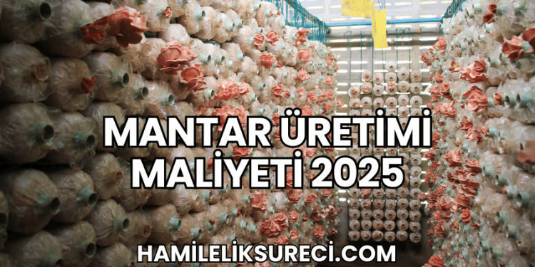 Mantar Üretimi Maliyeti 2025