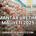 Mantar Üretimi Maliyeti 2025