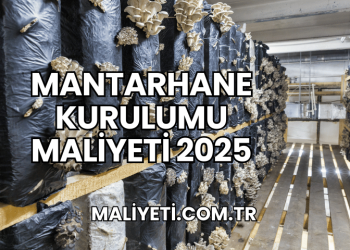 Mantarhane Kurulumu Maliyeti 2025