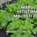 Marul Yetiştirme Maliyeti 2025