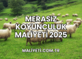 Merasız Koyunculuk Maliyeti 2025