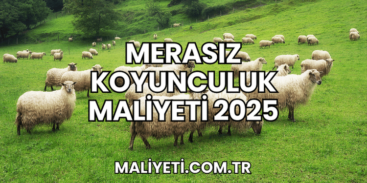 Merasız Koyunculuk Maliyeti 2025
