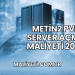 Metin2 PVP Server Açma Maliyeti 2025