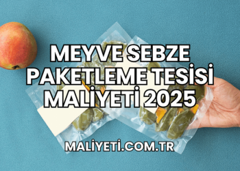 Meyve Sebze Paketleme Tesisi Maliyeti 2025
