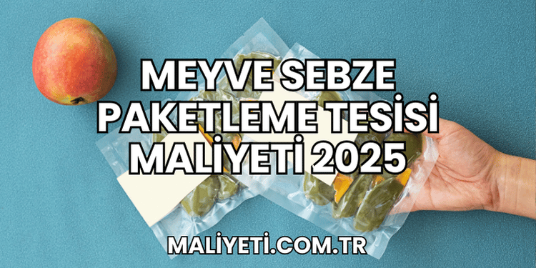 Meyve Sebze Paketleme Tesisi Maliyeti 2025