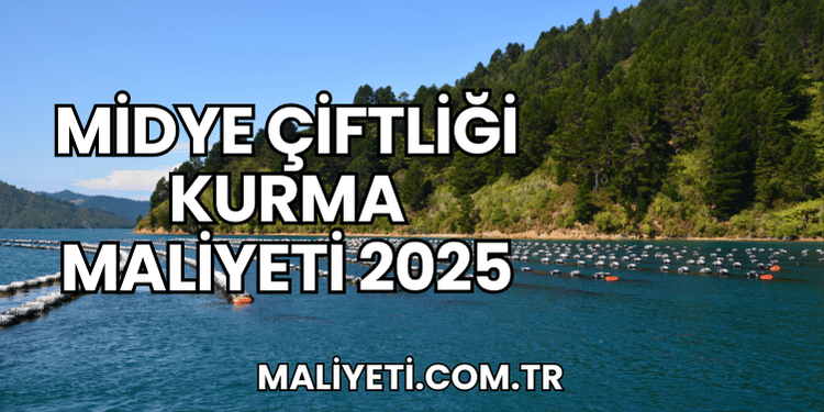 Midye Çiftliği Kurma Maliyeti 2025