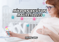 Mikroenjeksiyon Maliyeti 2025