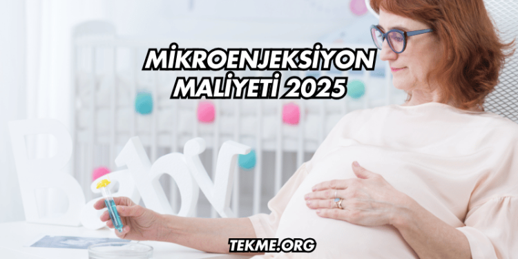 Mikroenjeksiyon Maliyeti 2025
