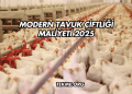 Modern Tavuk Çiftliği Maliyeti 2025