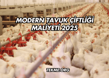 Modern Tavuk Çiftliği Maliyeti 2025