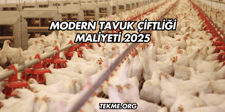 Modern Tavuk Çiftliği Maliyeti 2025
