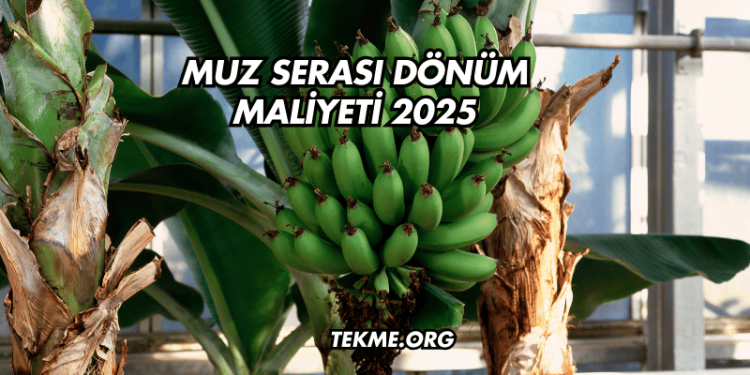 Muz Serası Dönüm Maliyeti 2025