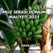Muz Serası Dönüm Maliyeti 2025