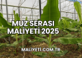 Muz Serası Maliyeti 2025